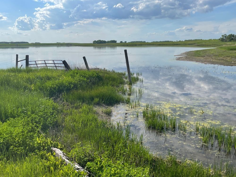 Solar surge: South Dakota sees new interest in solar power