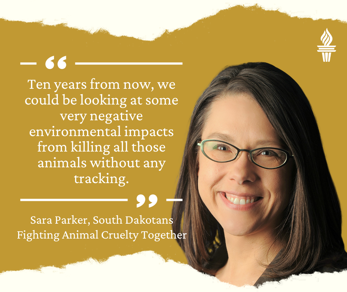 Sara Parker quote