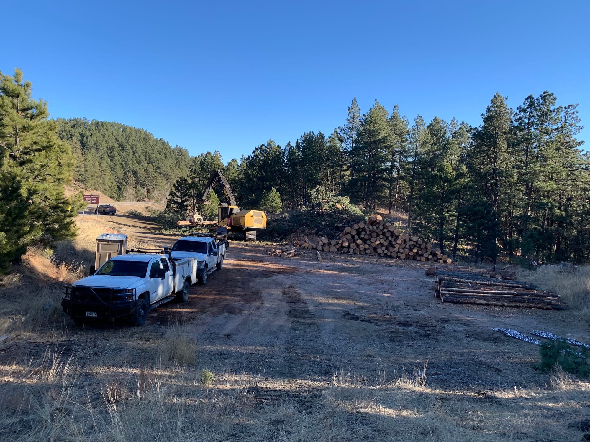 Tree clearing is taking place on US Highway 385 in the Black Hills, South Dakota