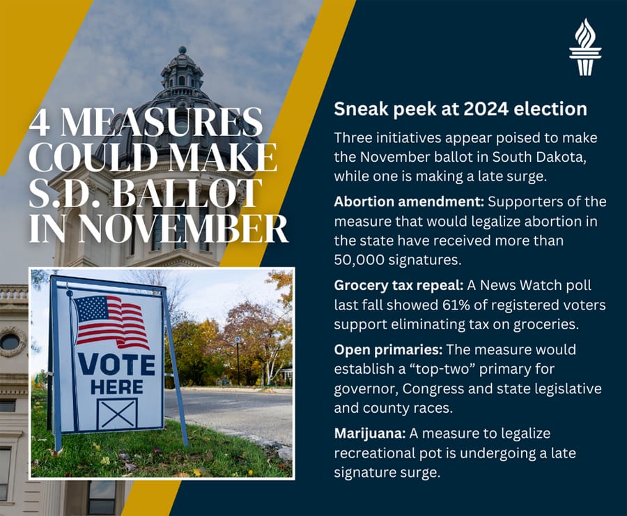 South Dakota ballot measures in 2024 election