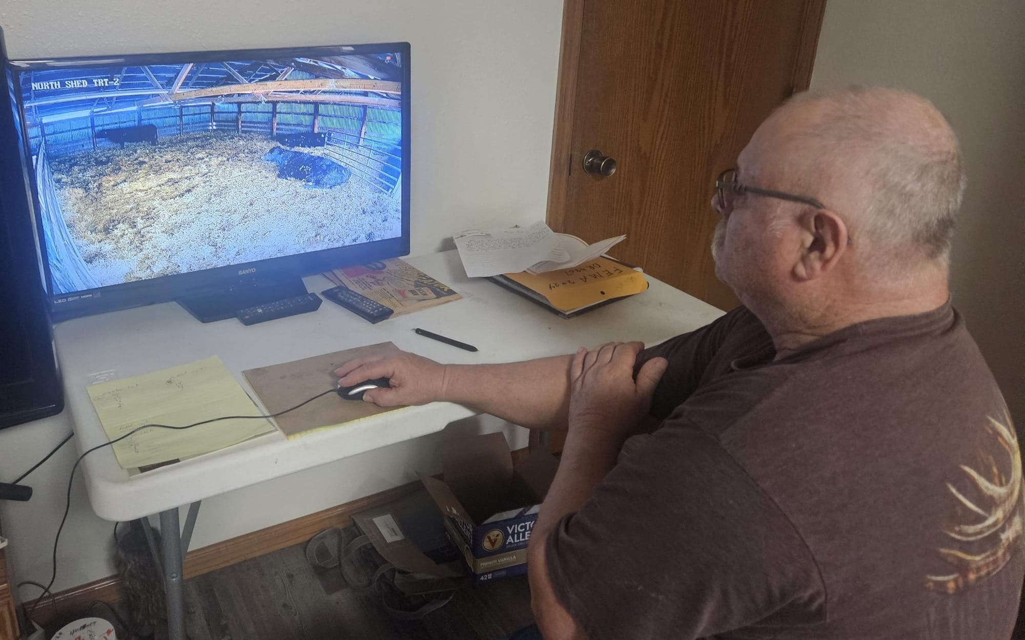 Steve Easton checks on his pregnant cows using a camera system in rural Hanson County,