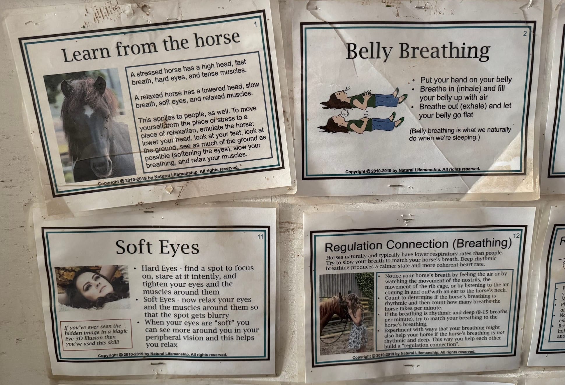 Signs on the wall provide additional training for clients at Red Horse Healing in Rapid Valley, S.D., on Feb. 21, 2026.