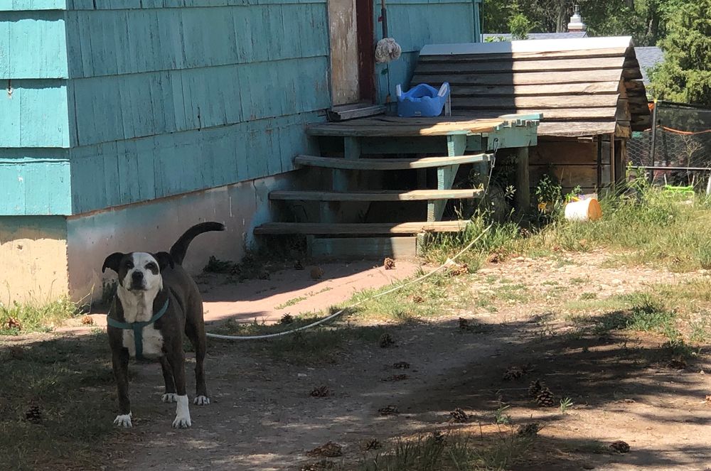 SPECIAL REPORT How four S.D. small towns are managing change Lemmon, ster, Edgemont and