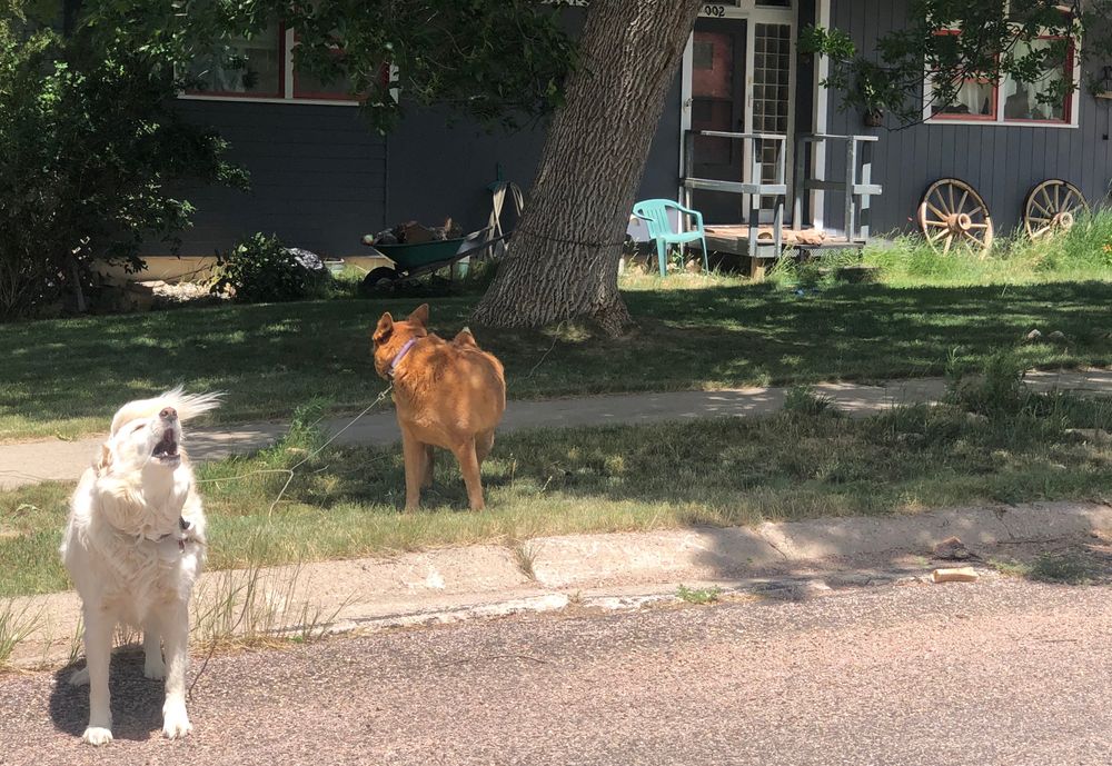 SPECIAL REPORT How four S.D. small towns are managing change Lemmon, ster, Edgemont and