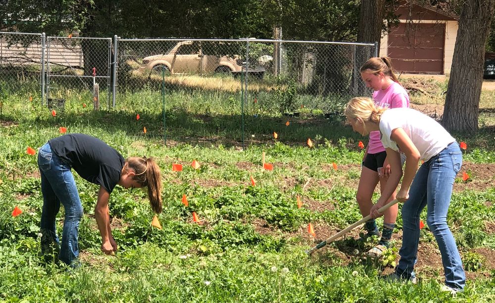 SPECIAL REPORT How four S.D. small towns are managing change Lemmon, ster, Edgemont and