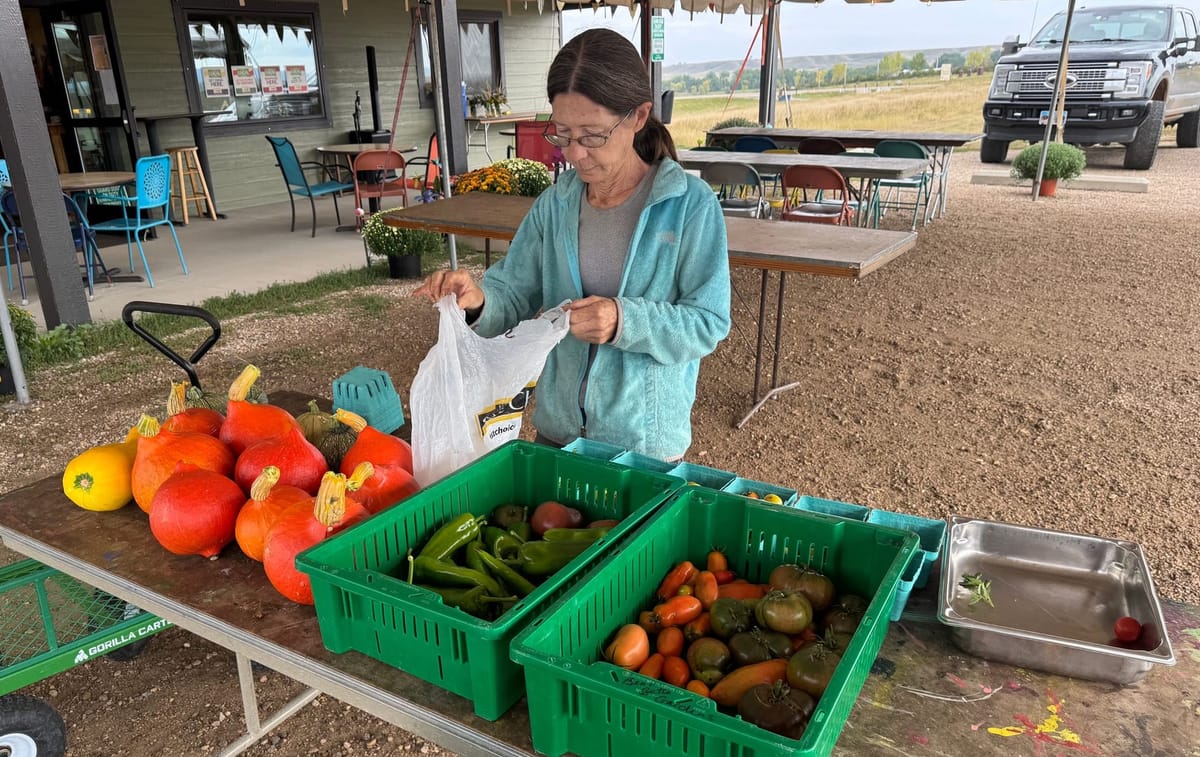 Small local farms growing stronger roots in South Dakota