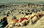 Iconic movies shot in South Dakota