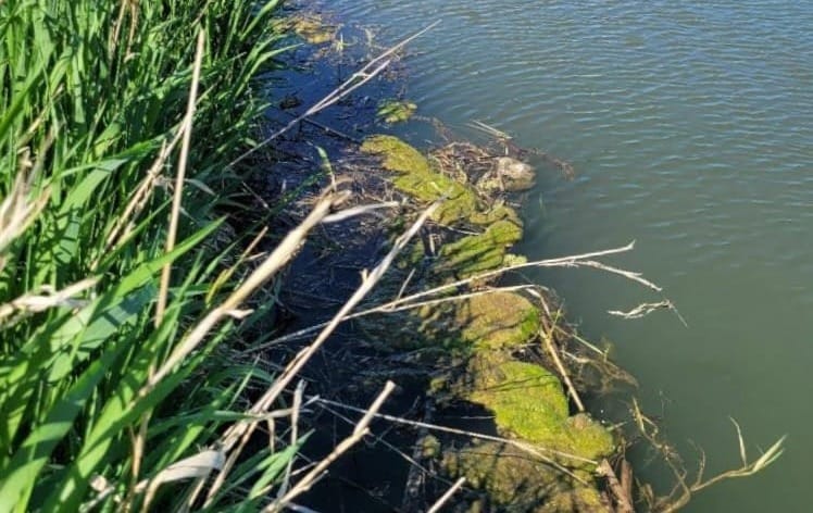 Has South Dakota set a goal for reducing water pollution in the state’s rivers and streams?