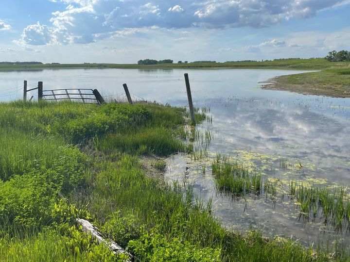Flooded cropland in South Dakota