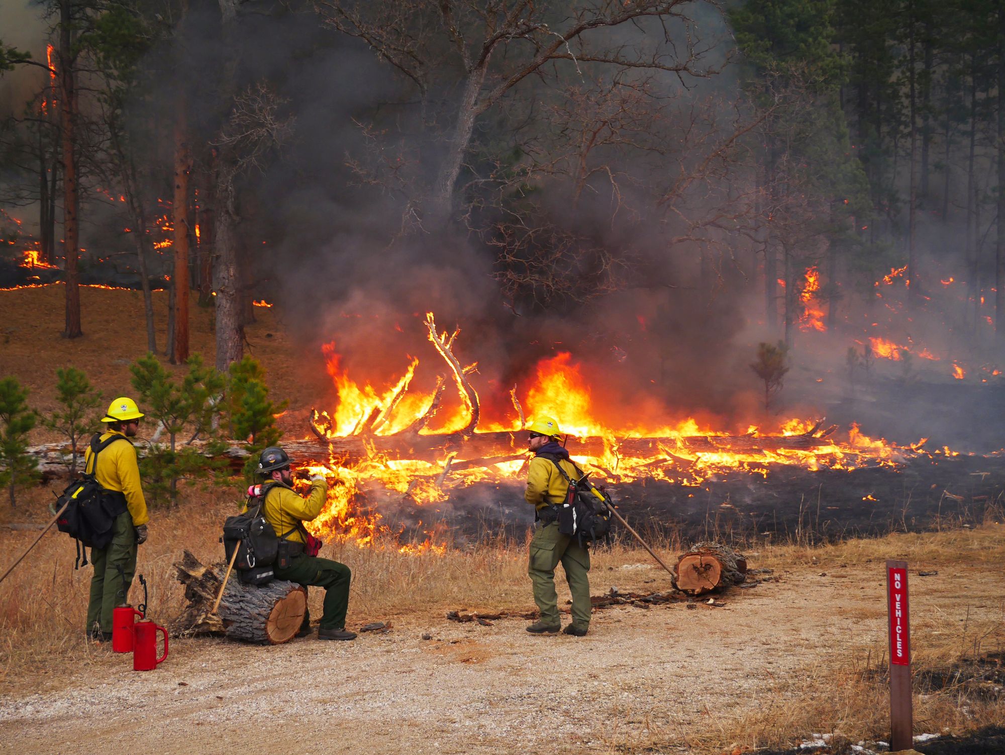 Three fire fighters resting while a fallen try blazes in background.