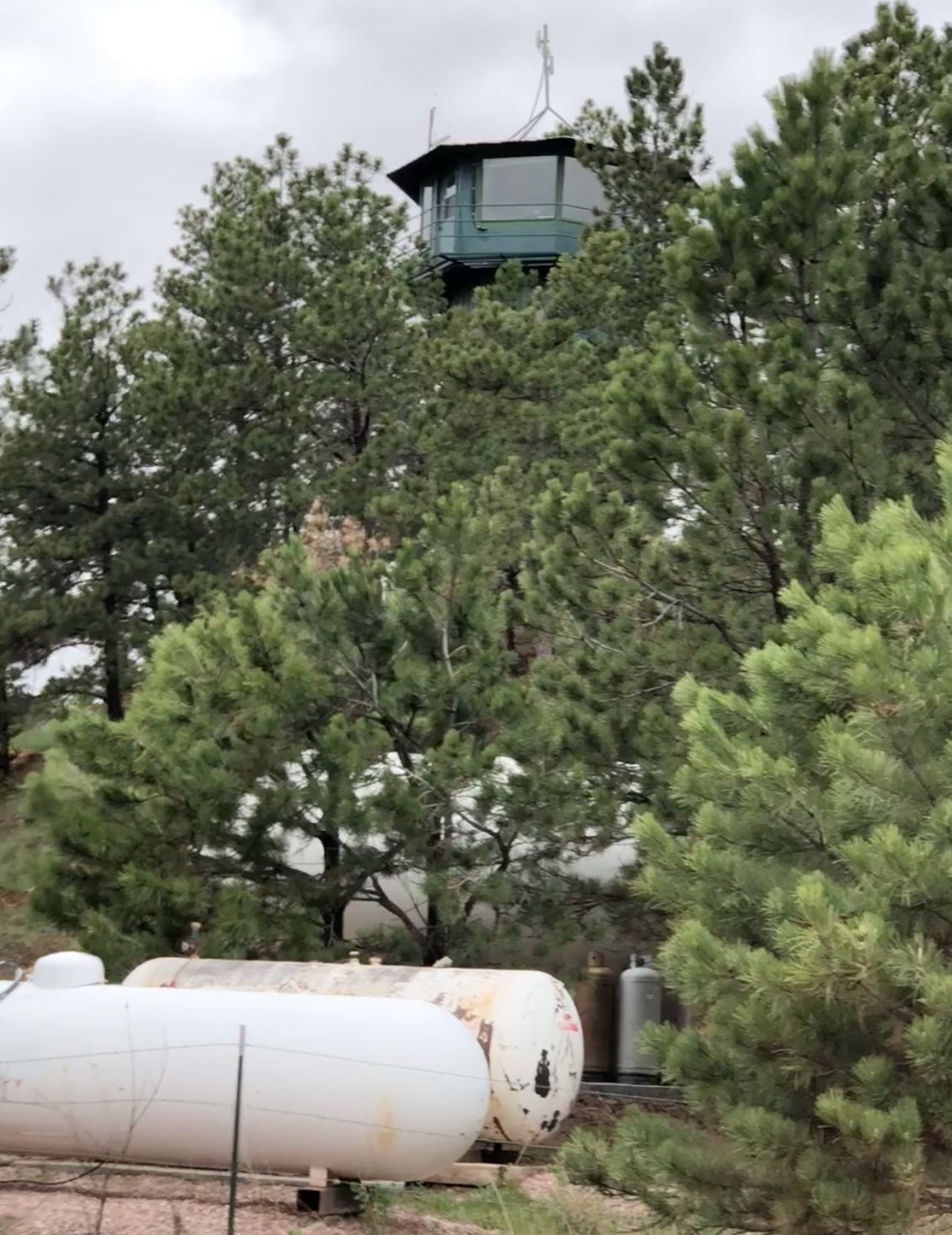 Guard Tower sticking out of tree tops