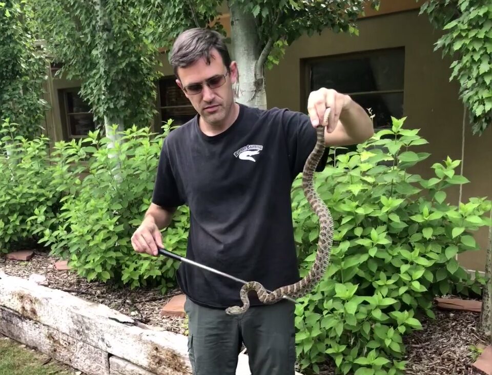 Terry Phillip shows a rattlesnake