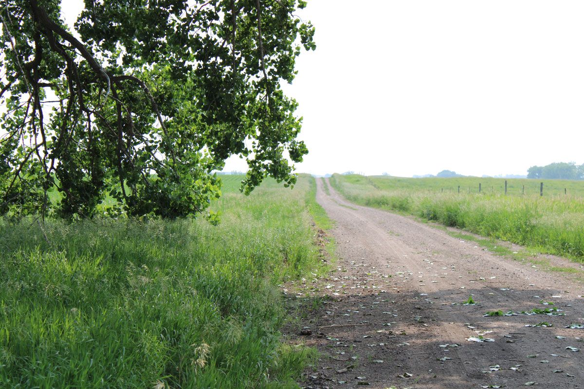 CRP land near Watertown