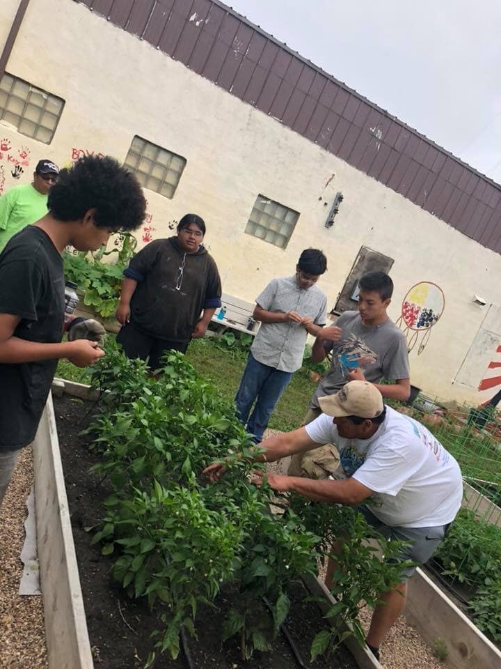 Boys club food garden in South Dakota